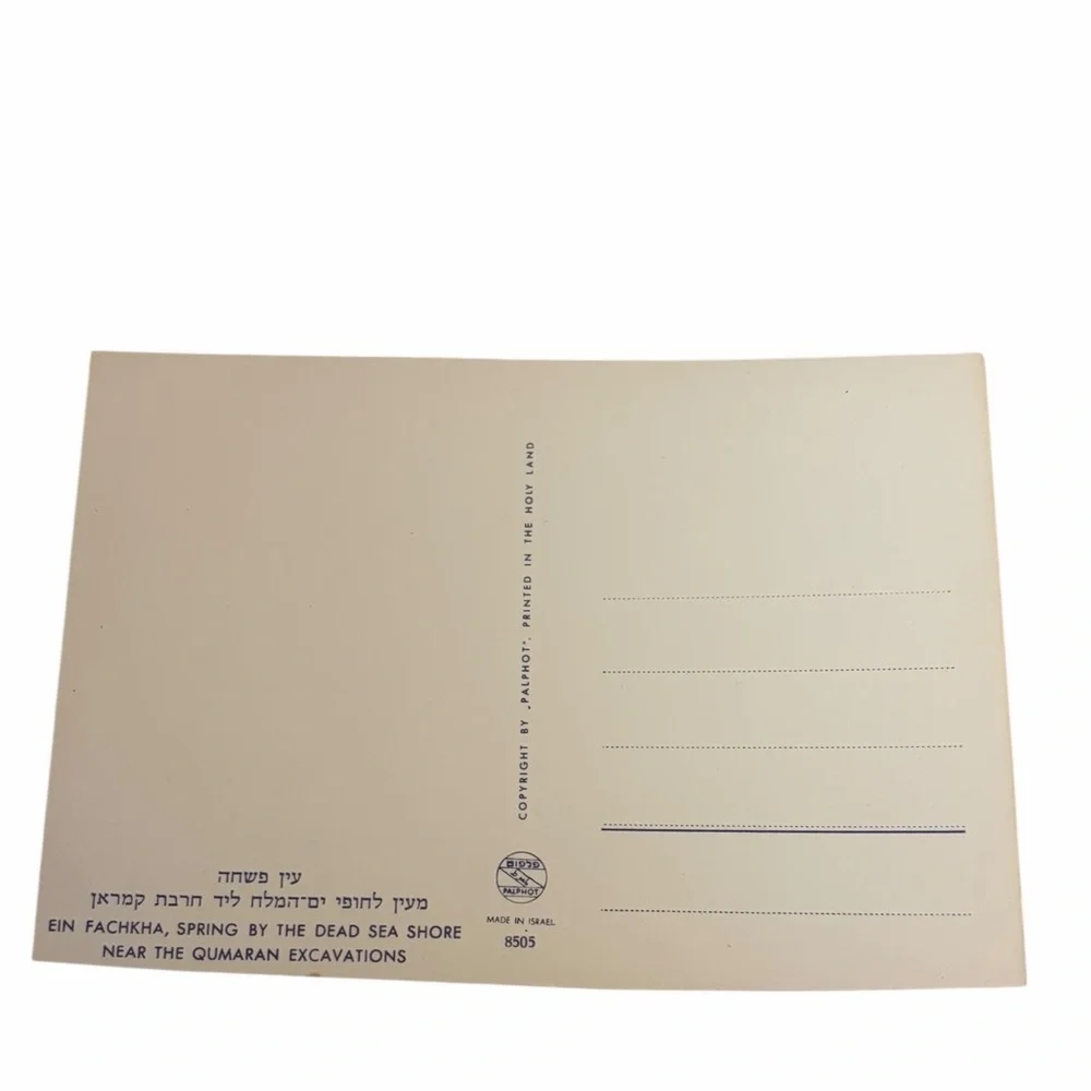 Ein Mishchat Israel Postcard — Natural Spring & Lake View